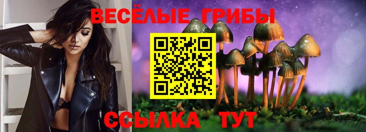 закладки  Вход с VPN  Алушта  Псилоцибиновые грибы Psilocybine cubensis 